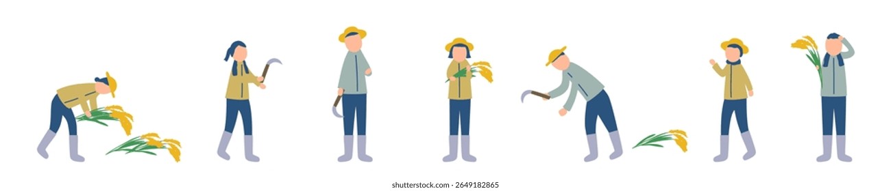 rice harvest, rice plant, rice, farmer, agriculture