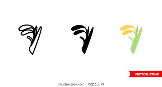Rice icon of 3 types: color, black and white, outline. Isolated vector sign symbol.