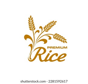 Icono de arroz, insignia vectorial aislada con espigas doradas, granos y hojas. Etiqueta alimentaria de cereales para el envase de producción. Cultivos de arroz premium, emblema de plantas cultivadas con inscripción elegante