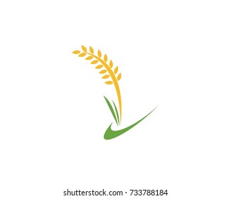 Rice Icon logo design template