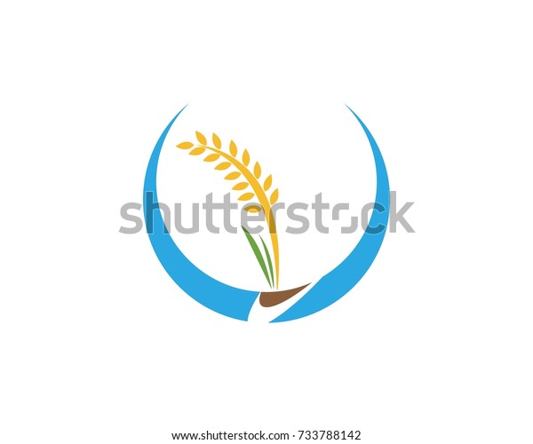 Rice Icon Logo Design Template Stock Vector (Royalty Free) 733788142 ...