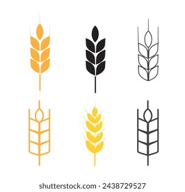 Rice icon set. Wheats rye rice ears. barley field cereal nutritious. wheat grain. Vector illustration