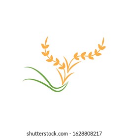 Rice icon and symbol industry agriculture