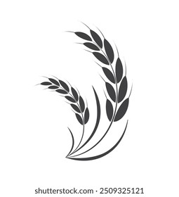 Rice icon. Wheats rye rice ears. barley field cereal nutritious. wheat grain. Vector illustration