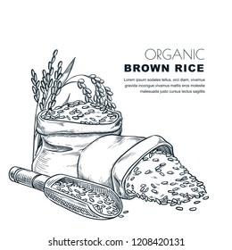 Rice label design template. Sketch vector illustration of cereal ears, wooden spoon and sack. Organic rice package background.