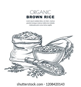 Rice label design template. Sketch vector illustration of cereal ears, bowl, wooden spoon and sack. Organic rice package background.