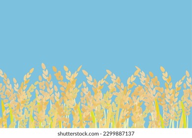 Rice landscape illustration of rice
