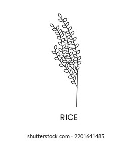 Icono de línea de arroz en vector, ilustración de una planta de cereales.