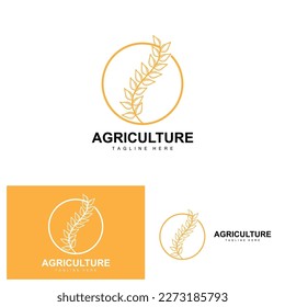 Rice Logo, Agriculture Design, Vector Wheat Rice Icon Template Illustration