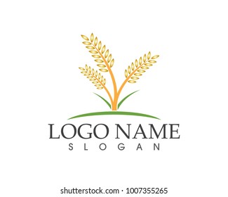 Rice logo design vector