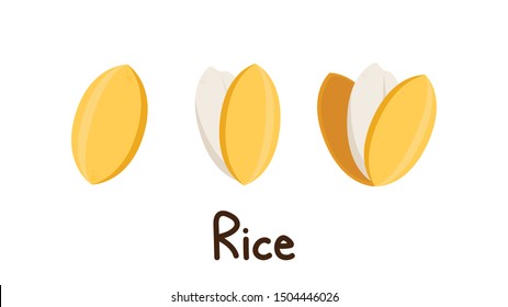 Rice logo design. rice vector on white background. poster. rice seed.