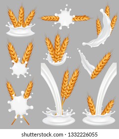 Rice milk splash set. Vector realistic illustration of rice in vegan plant milk splashing and pouring. Healthy nutrition and diet food.