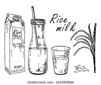 Rice milk. Vegetable milk sketch. Rice milk in a bag, in a bottle, in a glass. Spikes and rice. Morning drink. Healthy lifestyle. Healthy Vegetable Milk Drink, Diet Product