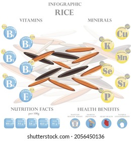 Rice nutrition facts and health benefits infographic on the white background. Vector illustration