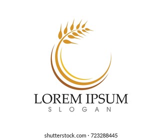 Rice oat food logo and symbols
