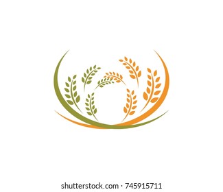 Rice and oat logos food