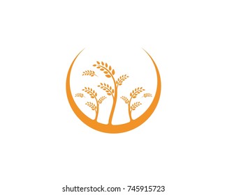 Rice and oat logos food