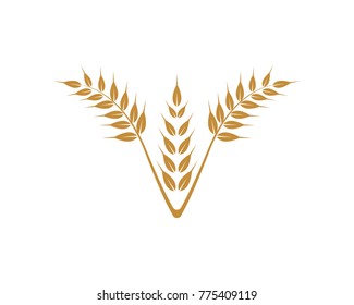 Rice and oat logos template icon
