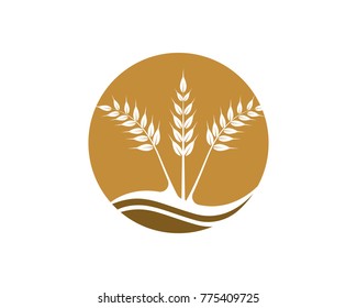 Rice and oat logos template icon