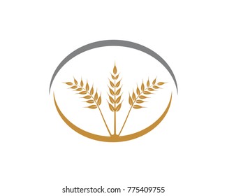 Rice and oat logos template icon