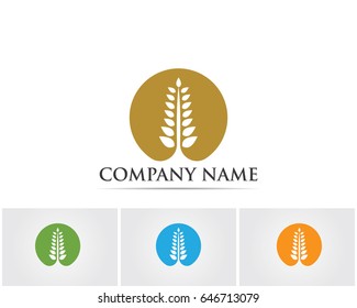 Rice oat meal logo