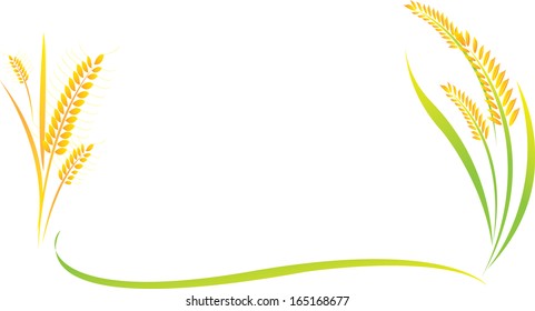 rice on a white background
