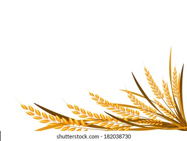 Rice on white background