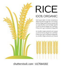 Arroz en ilustración de fondo blanco.
