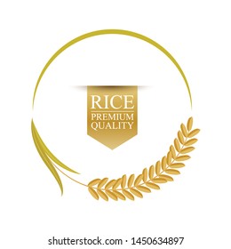 Rice on white background. vector illustration.