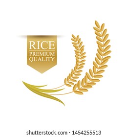 Rice on white background. vector illustration.