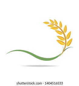 Rice on white and text, agricultural vector illustration