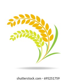 Rice organic Circle paddy grain products and healthy food design vector