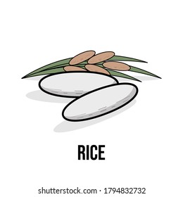 Rice organic product. Vector flat illustration. Natural healthy Eco food. White rice grains and sprigs of rice isolated on white background with shadow. Label for packaging design and other.