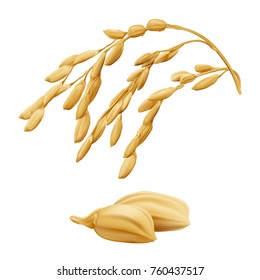 Rice - Oryza
Hand drawn vector illustration of golden yellow rice ear on transparent background in highly detailed realistic stile.
