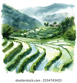 rice paddies in the mist vector illustration in watercolor style