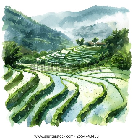 rice paddies in the mist vector illustration in watercolor style