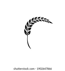 Arroz (Paddy). Vector de iluminación plana