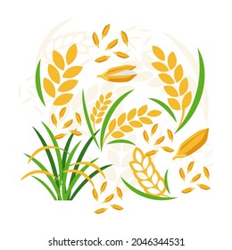 Rice paddy and grain elements abstract vector design background