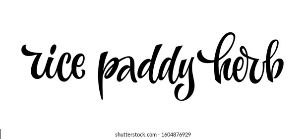 Rice paddy herb - hand drawn spice label. Isolated calligraphy script style word. Vector lettering design element. Labels, shop design, cafe decore etc