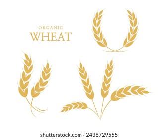 Rice panicles. Agriculture wheat. Laurel wreath icon. Wheats rye rice ears. rice stalk. Vector illustration