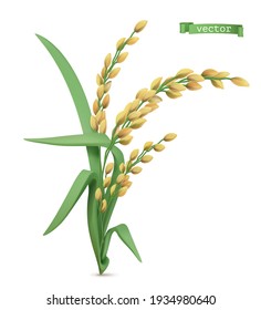 Rice Plant. 3d Realistic Vector Icon