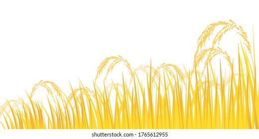  rice plant Agriculture background