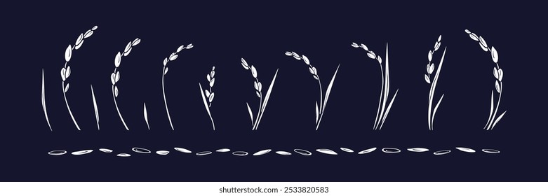 Rice plant, ear, leaf, grain collection. Elements for label, menu, package, card, sticker, package cereal porridge, vegan milk, gluten free flour. Traditional farm food. Vector isolated