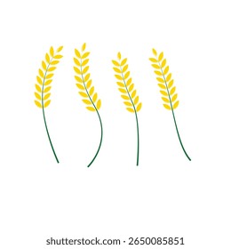 Rice Plant Ears Vector Illustration with Golden Grains and Green Stalk, Isolated on White Background
