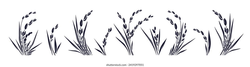 Rice plant and grains, leaves. Detailed graphic collection. Traditional food in asian countries. Elements for label, menu, package