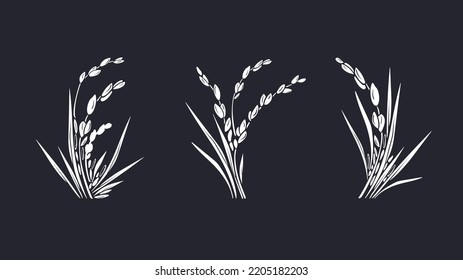 Rice plant  Graphic set  Vector white grais  texture bunch  Agriculture farm food  organic milk  gluten free flour