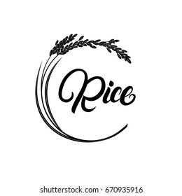 Rice Plant With Hand Written Lettering. Isolated On Background. Sign, Logo, Label, Badge. Vector Illustration.