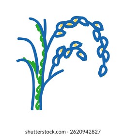 rice plant healthy doodle icon sketch vector. rice plant healthy sign. isolated symbol illustration