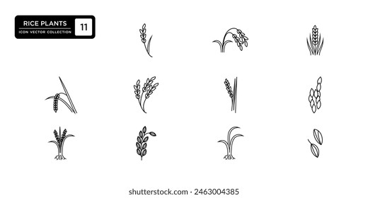 Colección de iconos de plantas de arroz, Plantillas de iconos de Vectores editables y redimensionables.