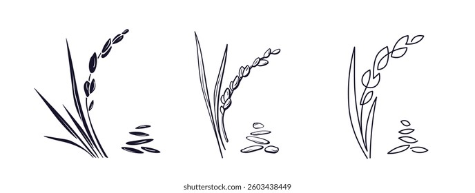 Rice plant, seeds set. Cereal porridge, vegan milk, gluten free organic agricultural flour. Vector grains. Graphic minimal line logo. Food in asian countries